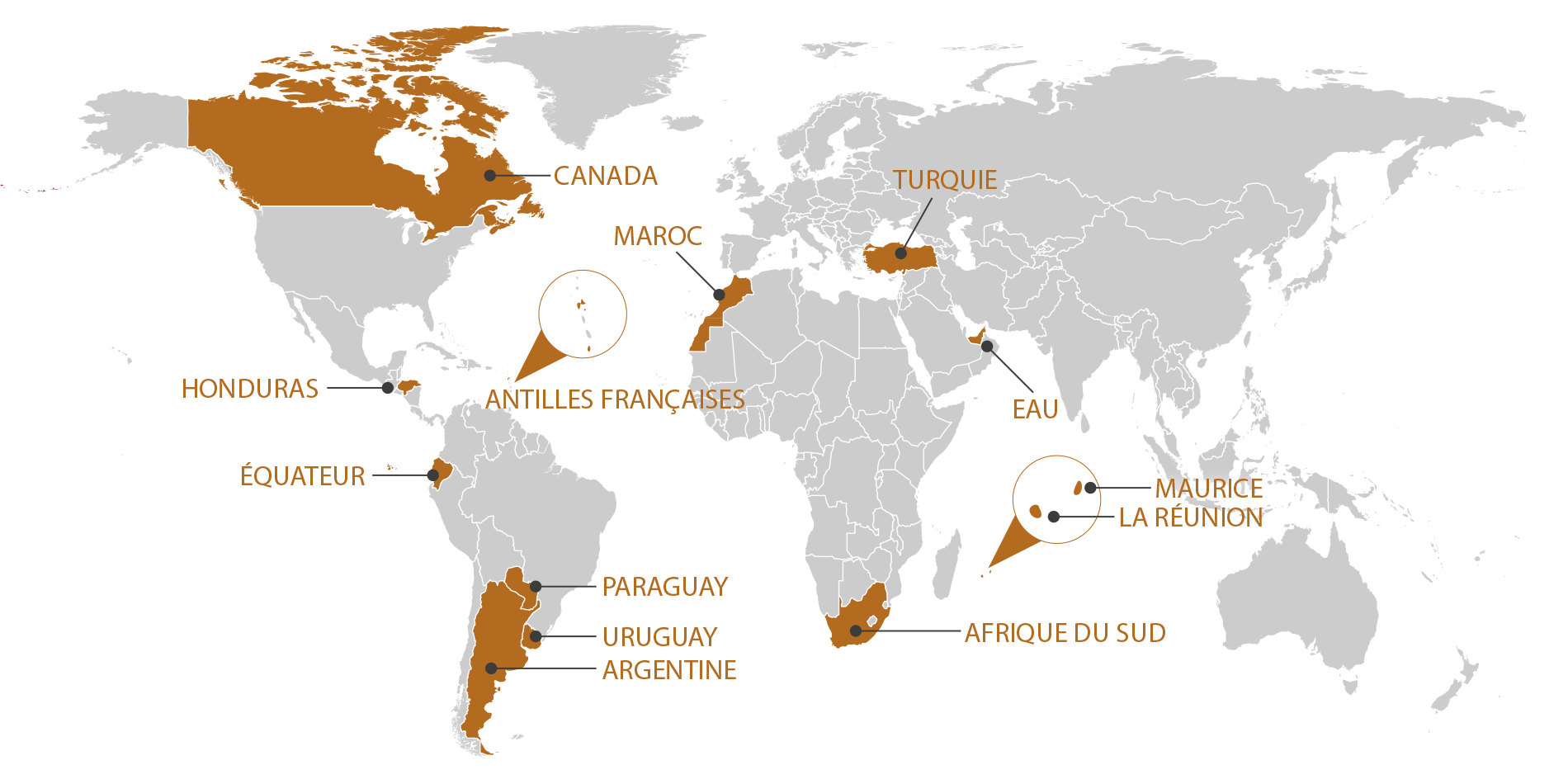 RGIS_FRANCHISE_WORLD_FR_1125. RGIS Franchise